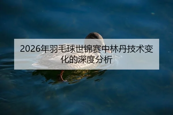 2026年羽毛球世锦赛中林丹技术变化的深度分析