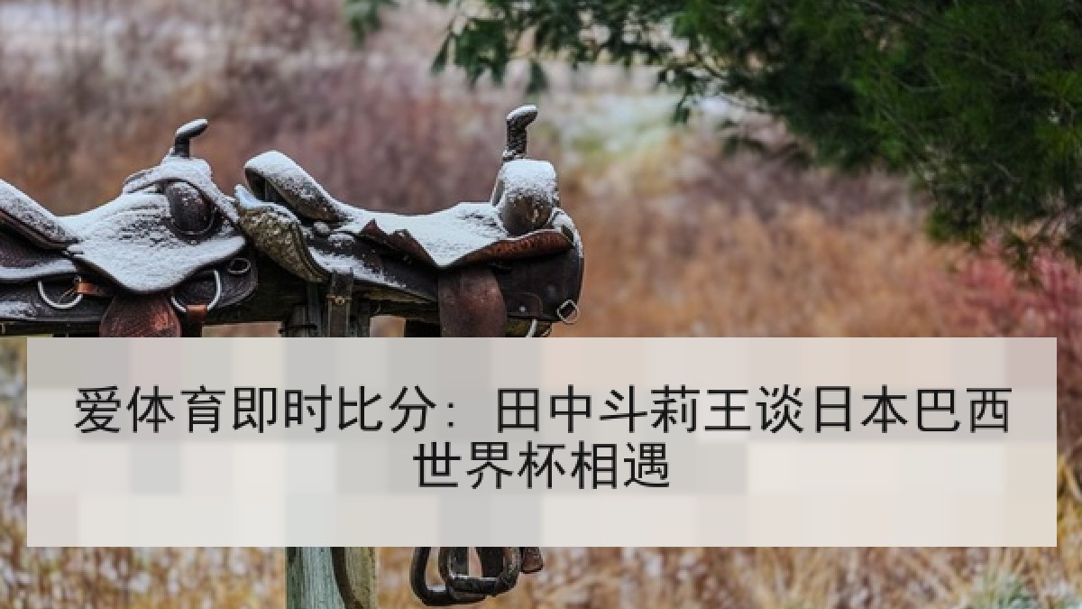 爱体育即时比分: 田中斗莉王谈日本巴西世界杯相遇
